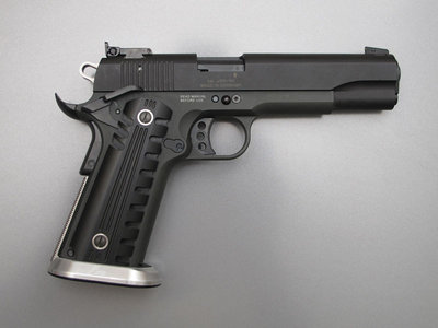 gsg1911 01.jpg