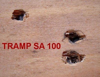 TRAMP SA 100.jpg