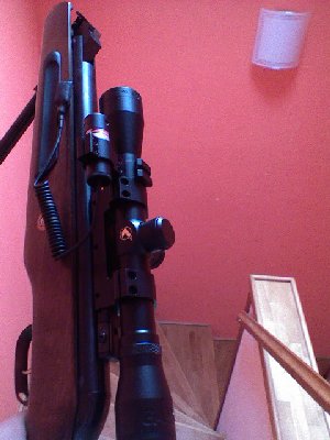 gamo maxima 4.5.JPG