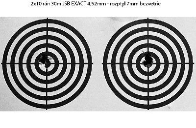 Steyr 30m.jpg