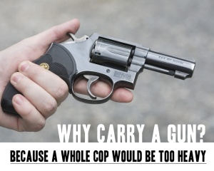 Why_Carry_a_Gun_Oleg_Volk.jpg