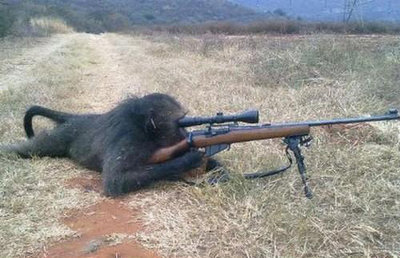 sniper-monkey.jpg