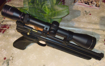 Crosman 1377.jpg