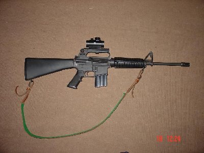 M16.jpg