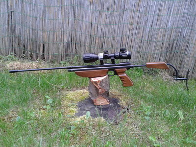 Crosman800x600.jpg