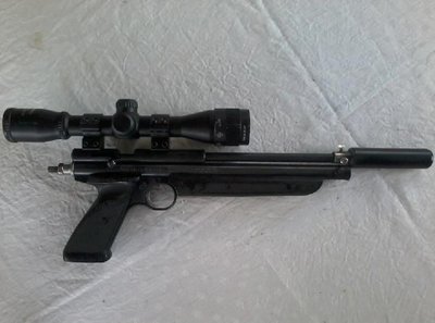 Crosman 1377.jpg