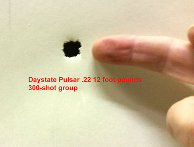 Pulsar-300-Group-600.jpg