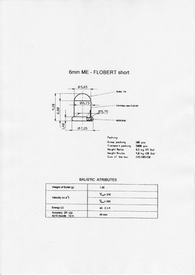 flobert 6mm - kopie.JPG