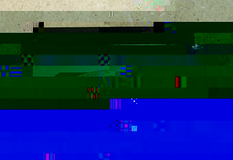 CAM.jpg