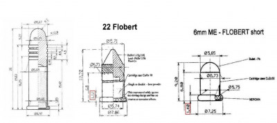 22LR a Flobert .jpg