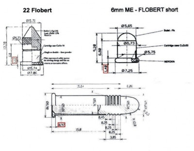 Flobert a LR.jpg